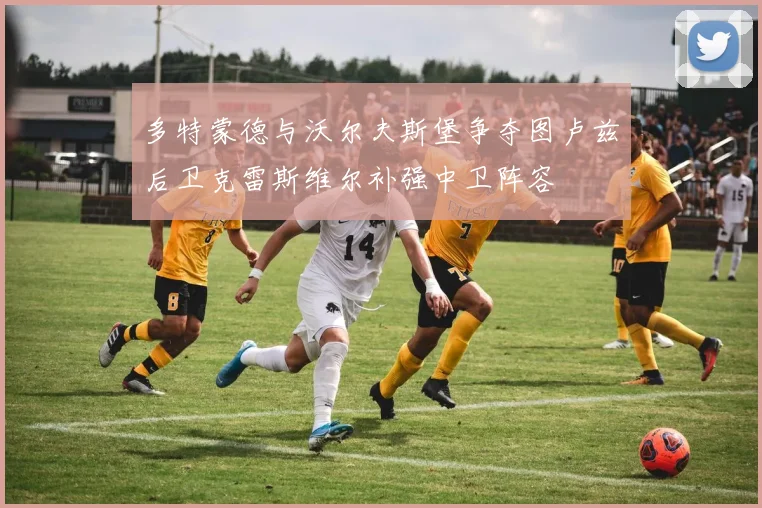 多特蒙德与沃尔夫斯堡争夺图卢兹后卫克雷斯维尔补强中卫阵容