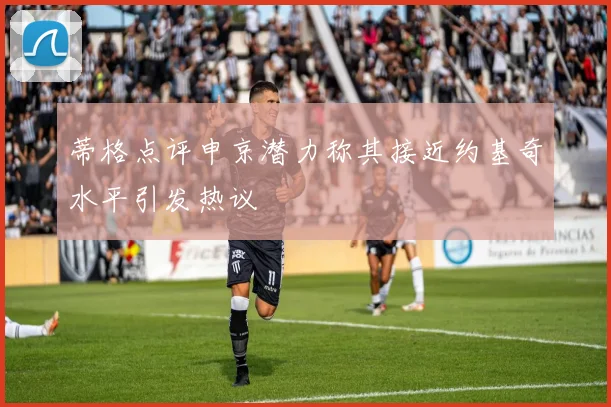 蒂格点评申京潜力称其接近约基奇水平引发热议