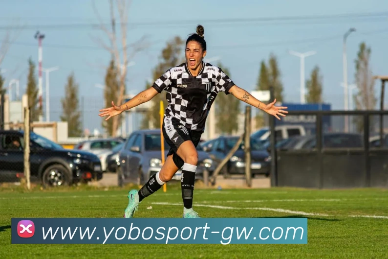 yobo体育平台生态图