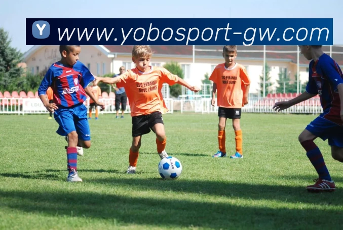 yobo体育APP 封面图